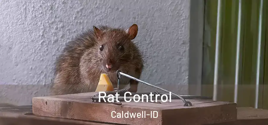  Rat Control Caldwell-ID