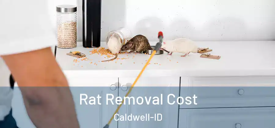 Rat Removal Cost Caldwell-ID
