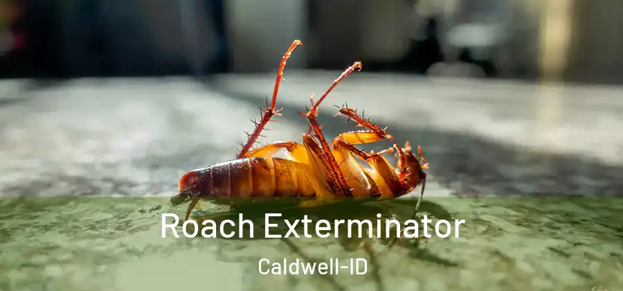  Roach Exterminator Caldwell-ID