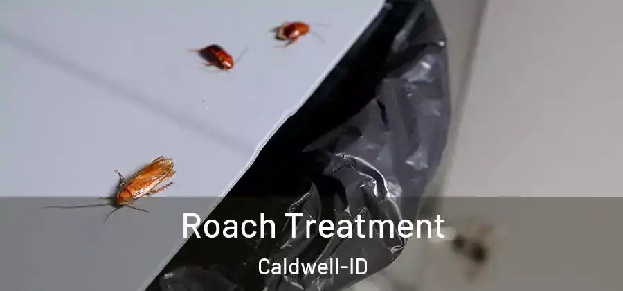  Roach Treatment Caldwell-ID