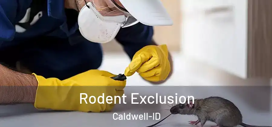  Rodent Exclusion Caldwell-ID
