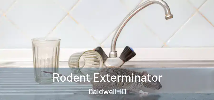  Rodent Exterminator Caldwell-ID