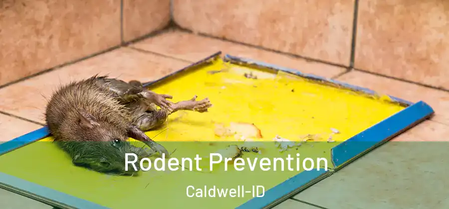  Rodent Prevention Caldwell-ID