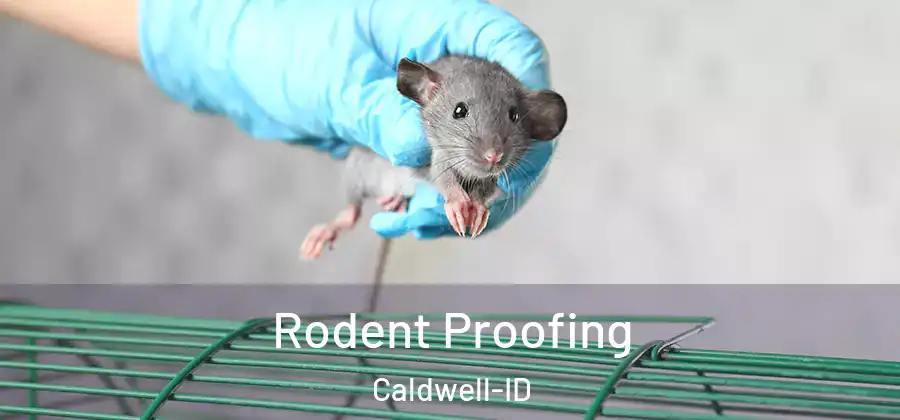  Rodent Proofing Caldwell-ID