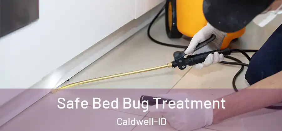  Safe Bed Bug Treatment Caldwell-ID