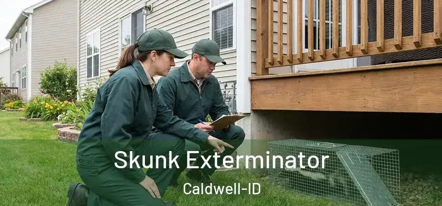 Skunk Exterminator Caldwell-ID