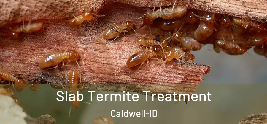  Slab Termite Treatment Caldwell-ID