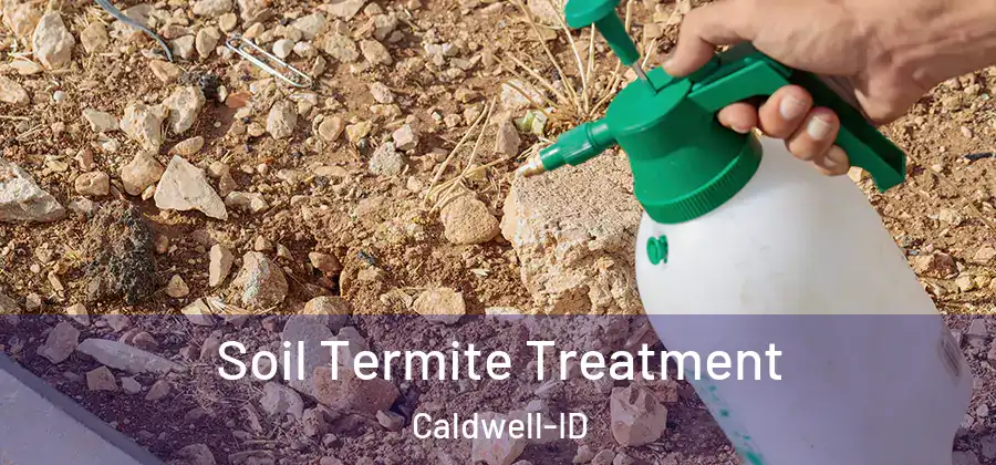  Soil Termite Treatment Caldwell-ID