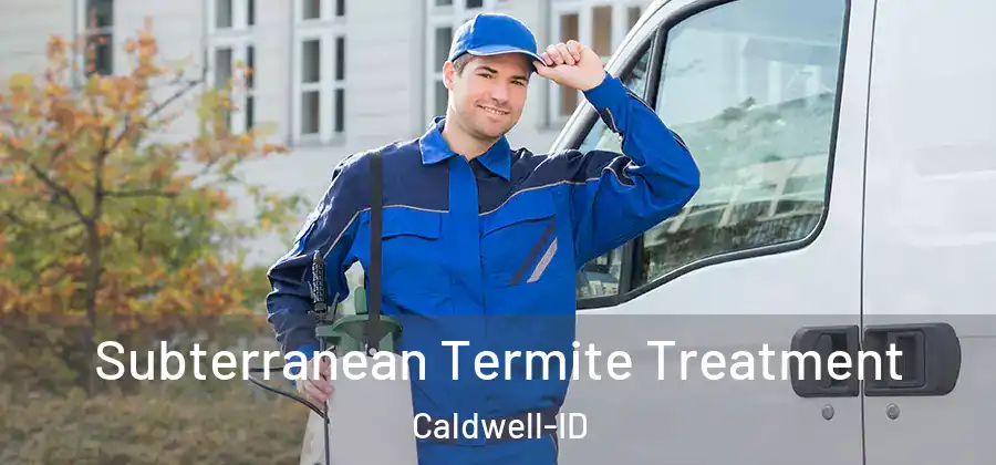  Subterranean Termite Treatment Caldwell-ID