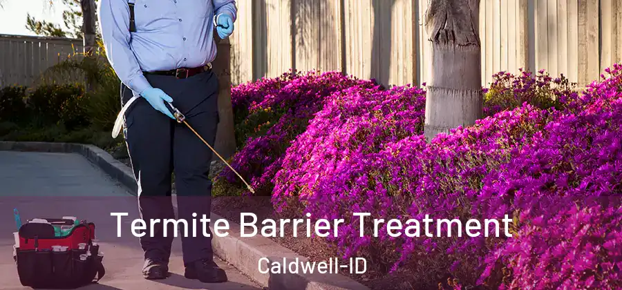  Termite Barrier Treatment Caldwell-ID