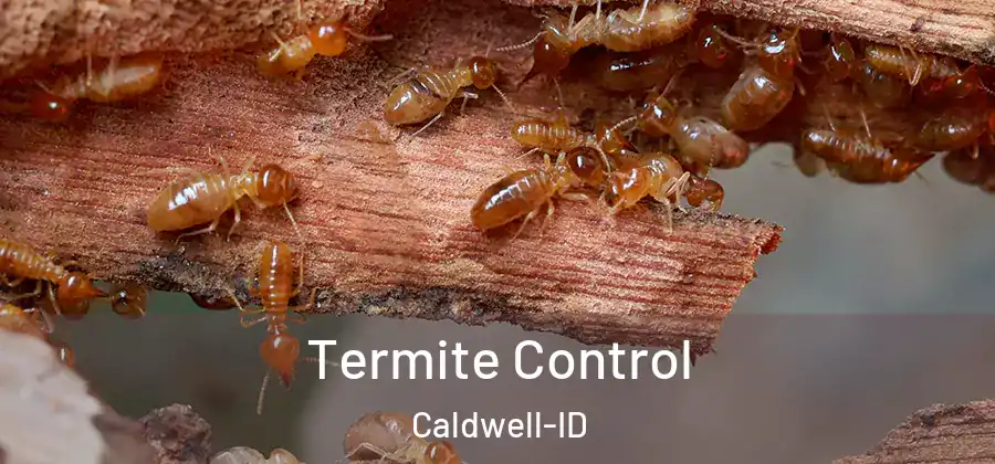  Termite Control Caldwell-ID