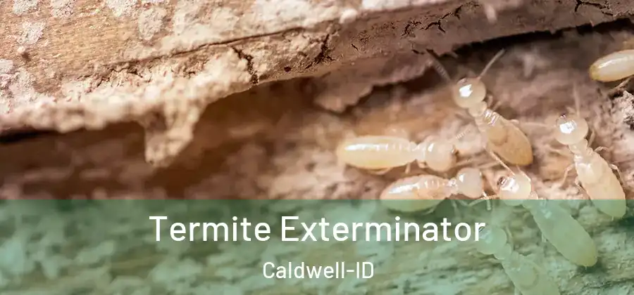  Termite Exterminator Caldwell-ID