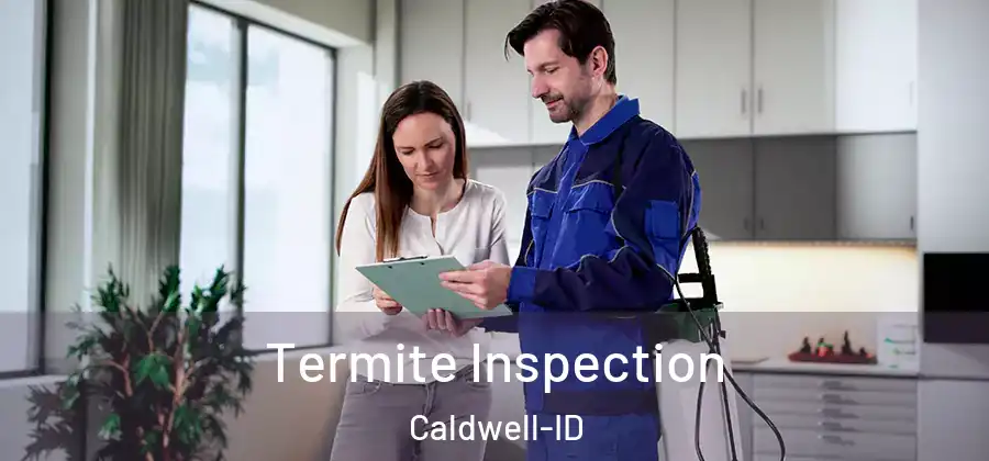  Termite Inspection Caldwell-ID