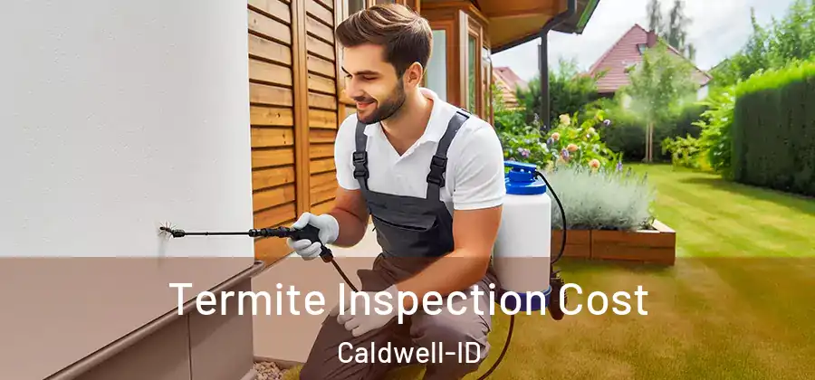  Termite Inspection Cost Caldwell-ID