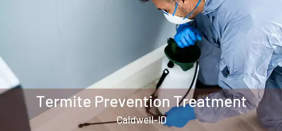  Termite Prevention Treatment Caldwell-ID