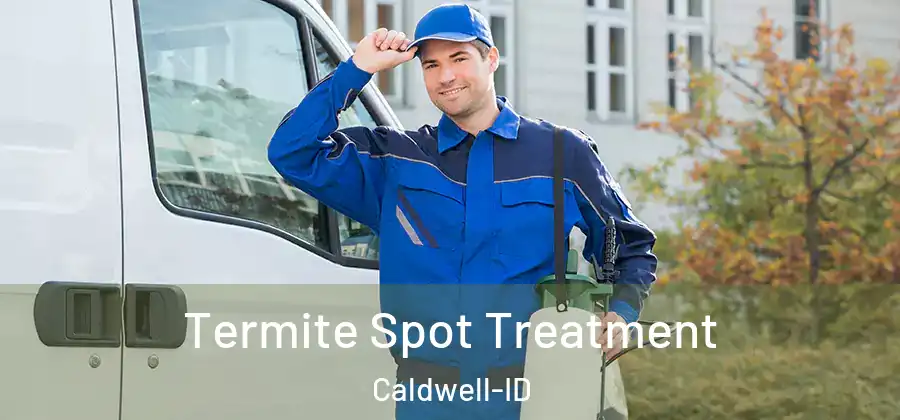  Termite Spot Treatment Caldwell-ID