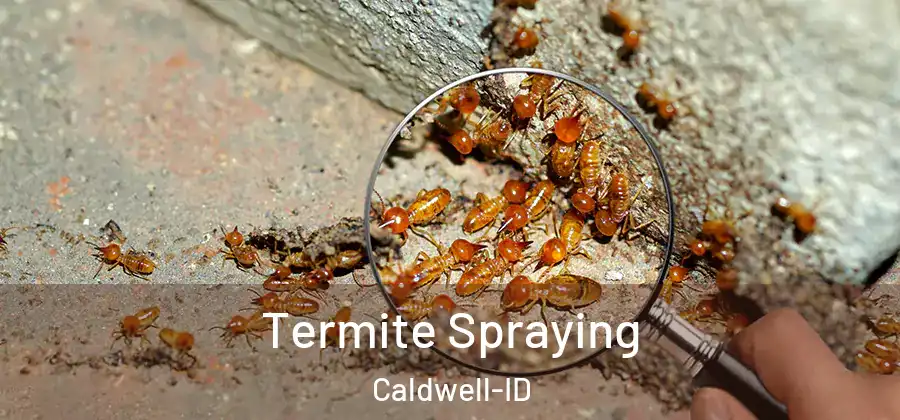  Termite Spraying Caldwell-ID