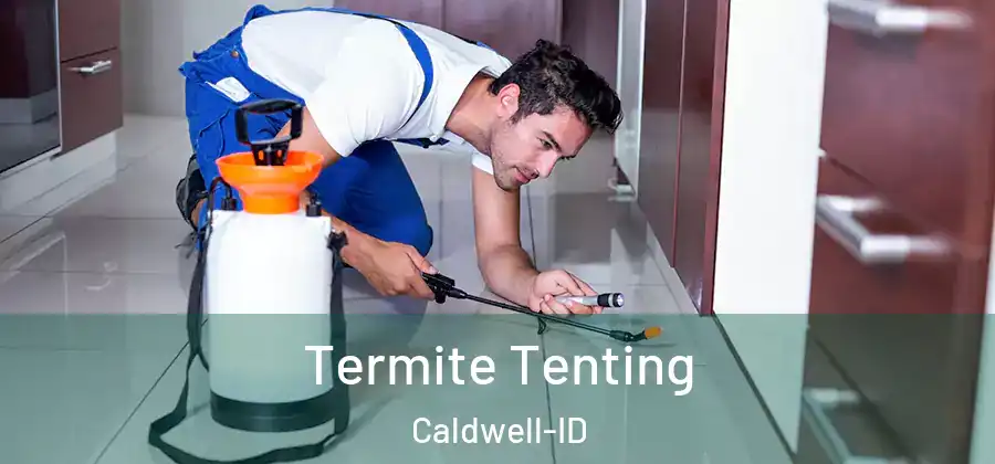  Termite Tenting Caldwell-ID