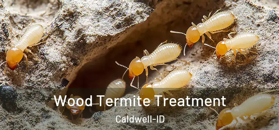  Wood Termite Treatment Caldwell-ID