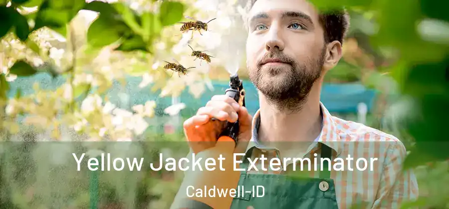  Yellow Jacket Exterminator Caldwell-ID
